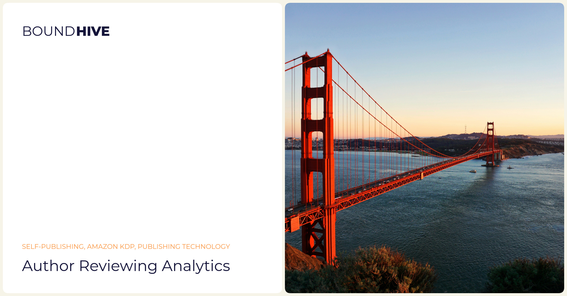 Author reviewing analytics Author reviewing analytics