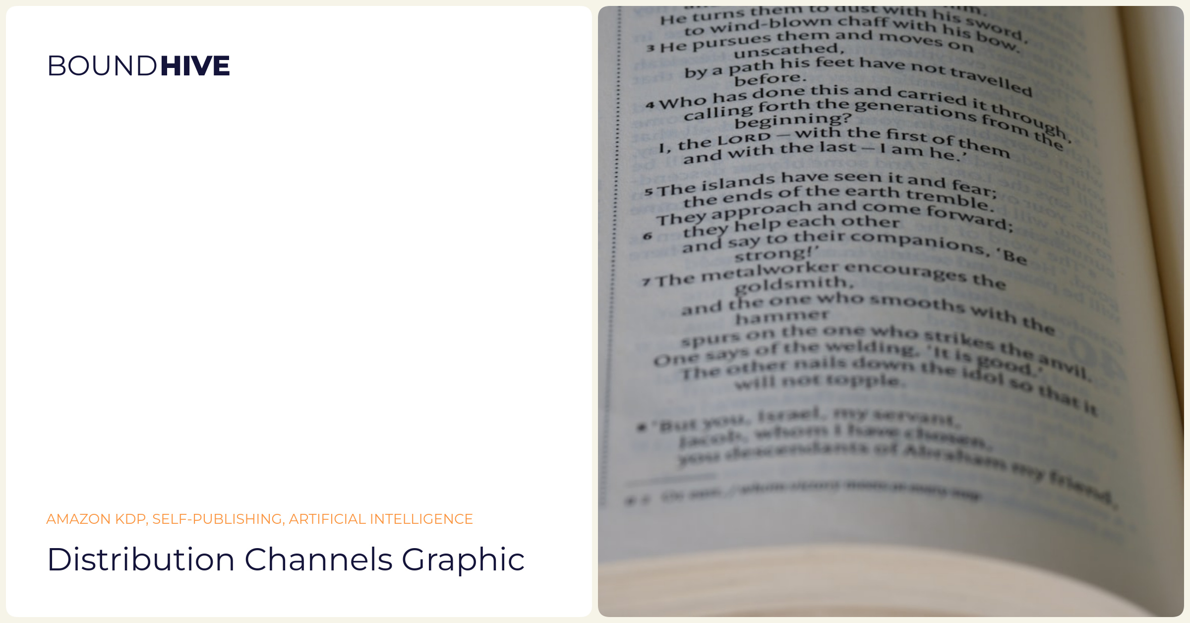 Distribution Strategy Distribution channels graphic