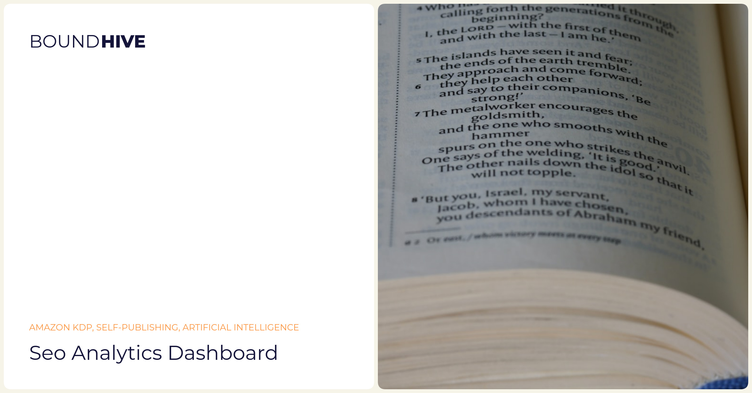 SEO Optimization SEO analytics dashboard