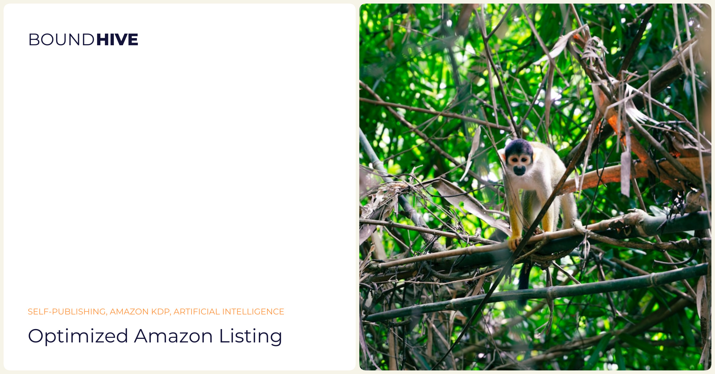 Optimized Amazon listing