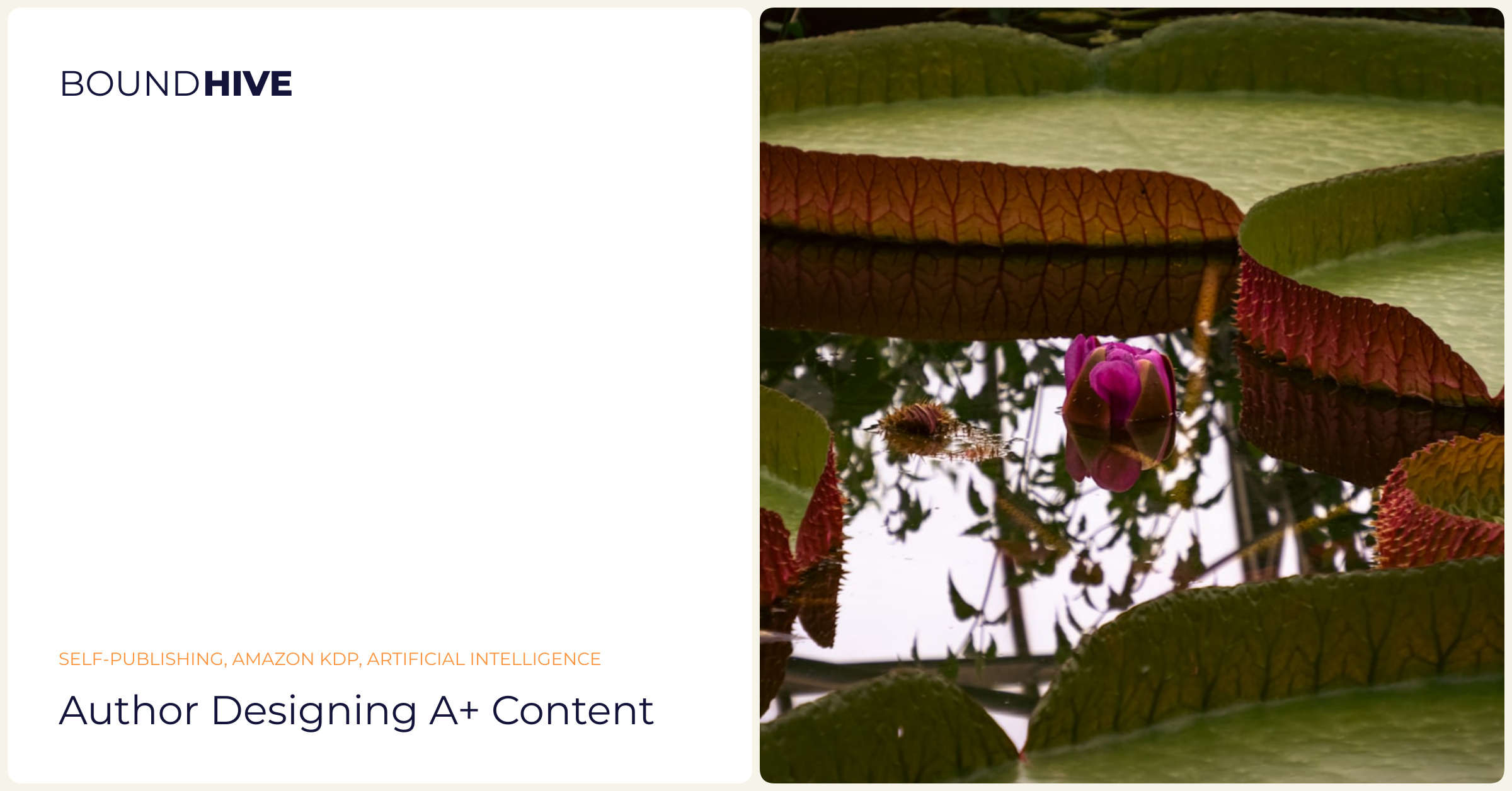A+ Content Design Author designing A+ Content