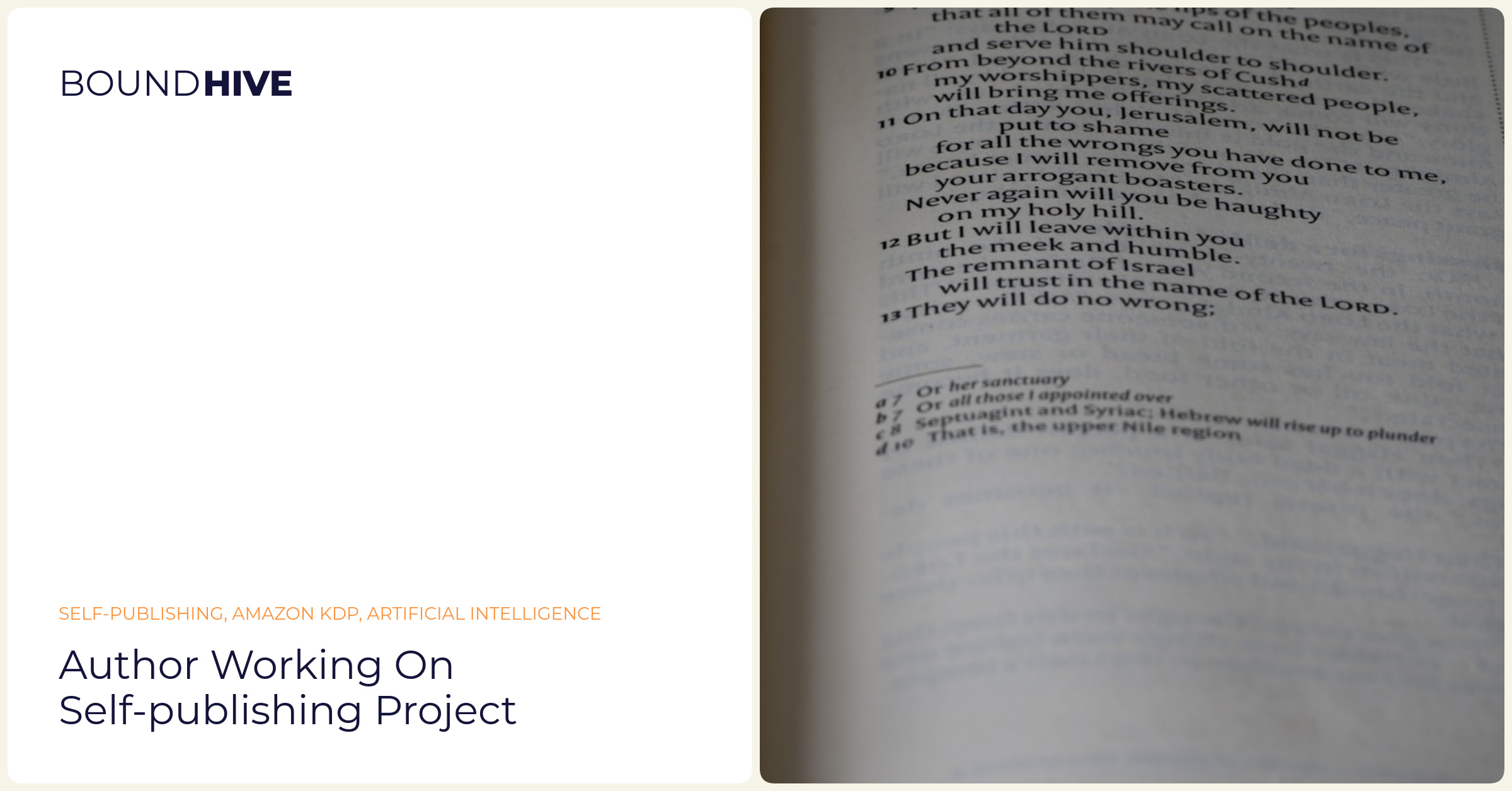 Author working with AI tools Author working on self-publishing project