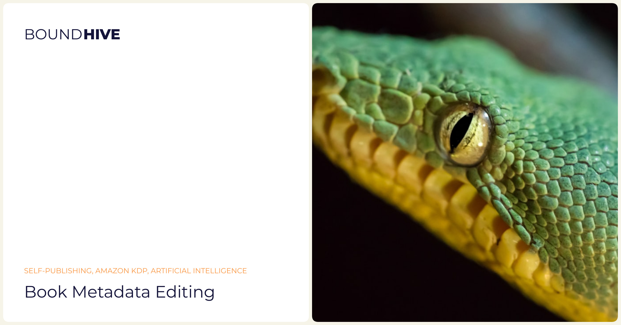 Book metadata editing Book metadata editing
