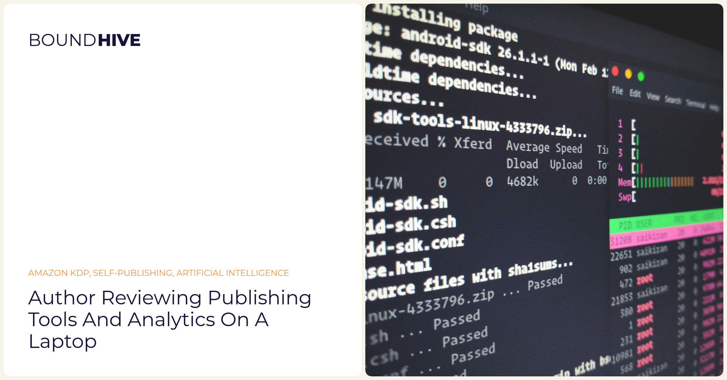 Author reviewing publishing tools and analytics on a laptop