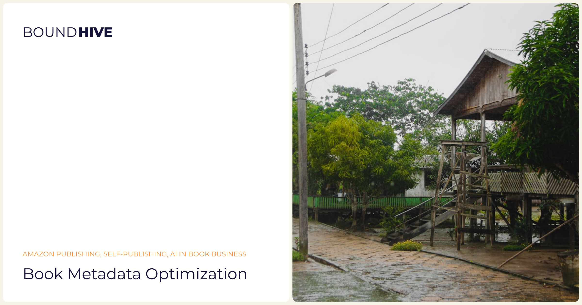 Book Metadata Optimization