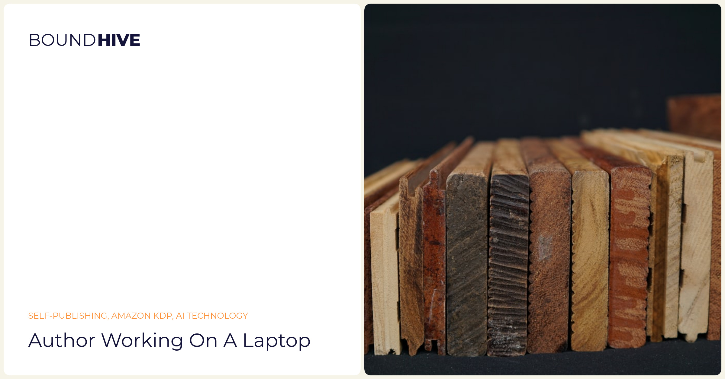 Author working on a laptop Author working on a laptop