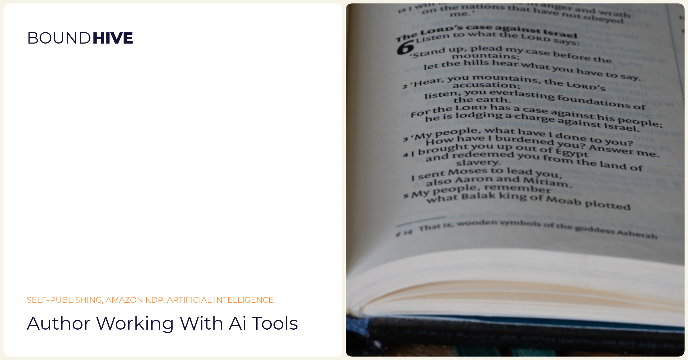 Author working with AI tools
