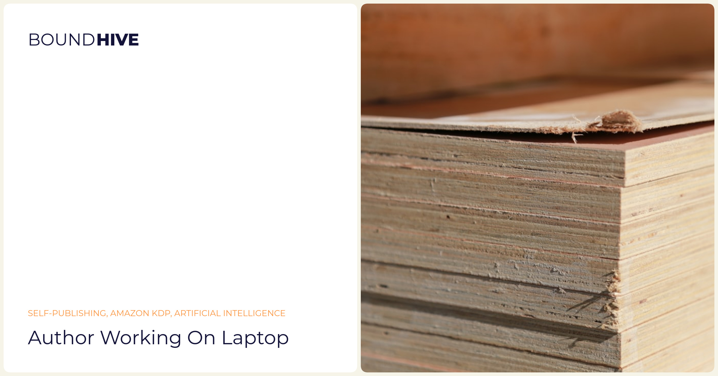 Author working on laptop