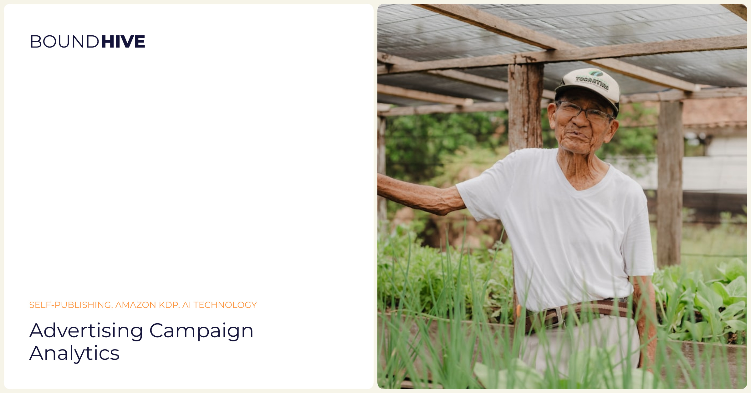 Advertising campaign analytics