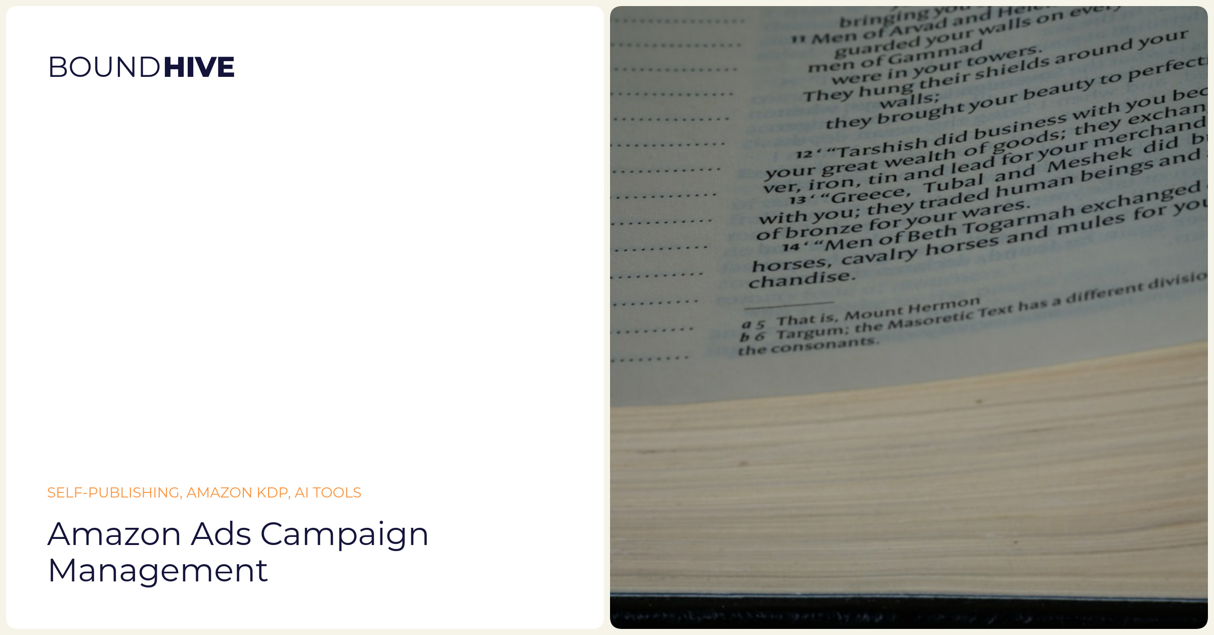 Amazon ads campaign management
