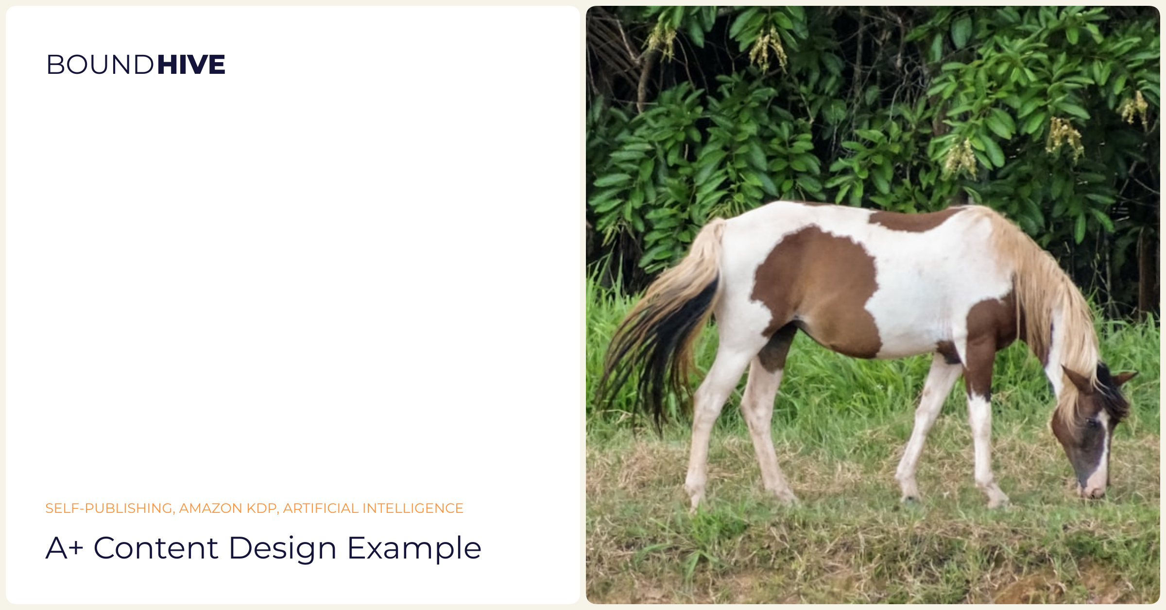 A+ Content design example A+ Content design example