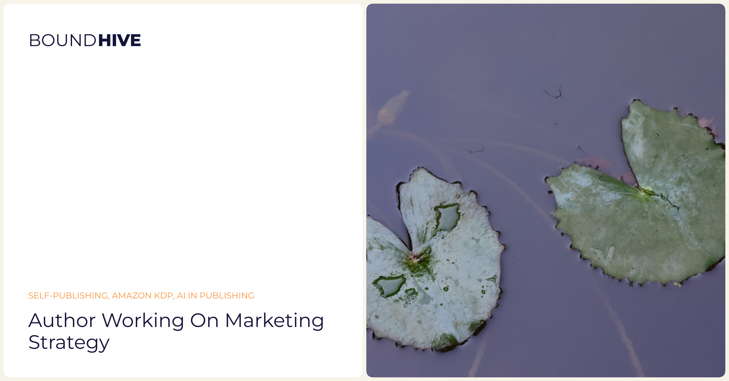 Author working on marketing strategy