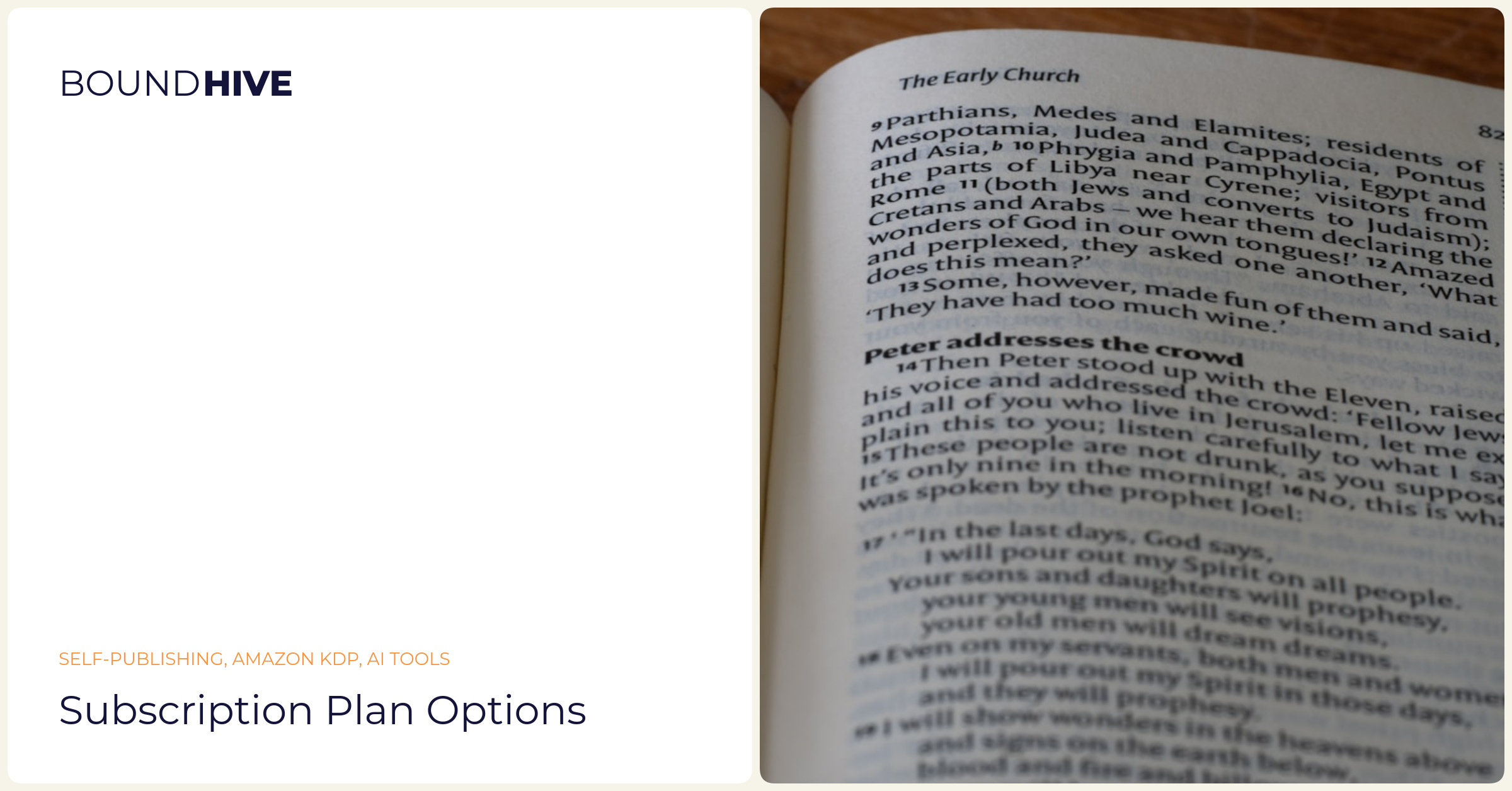 Subscription plan options