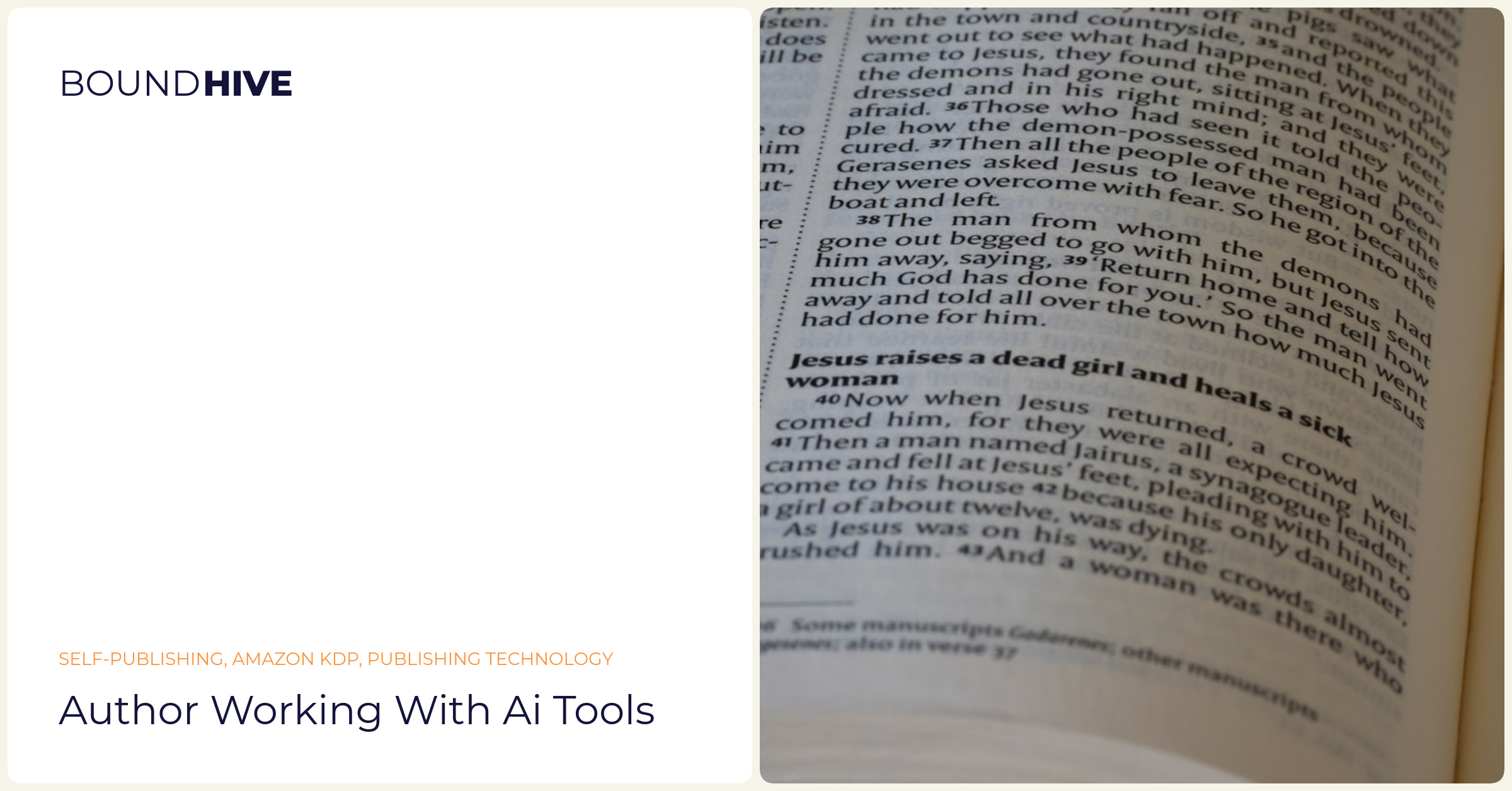 Author working with AI tools Author working with AI tools