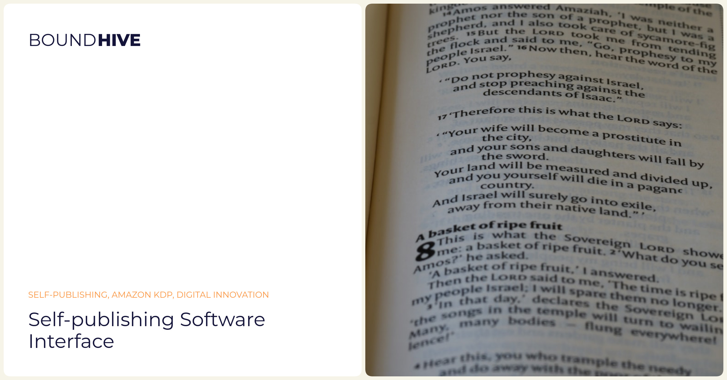 Self-publishing software interface