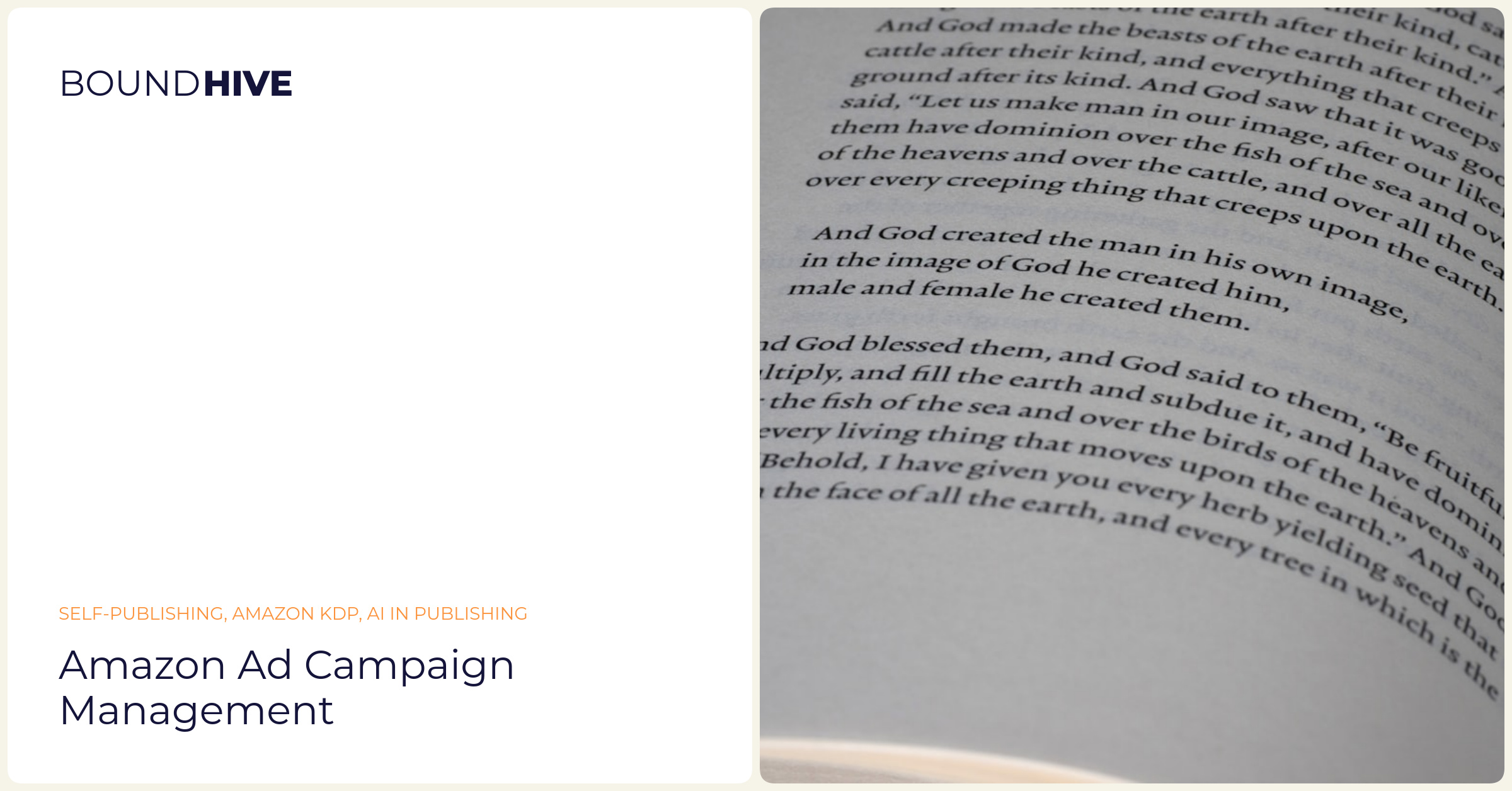 Amazon ad campaign management