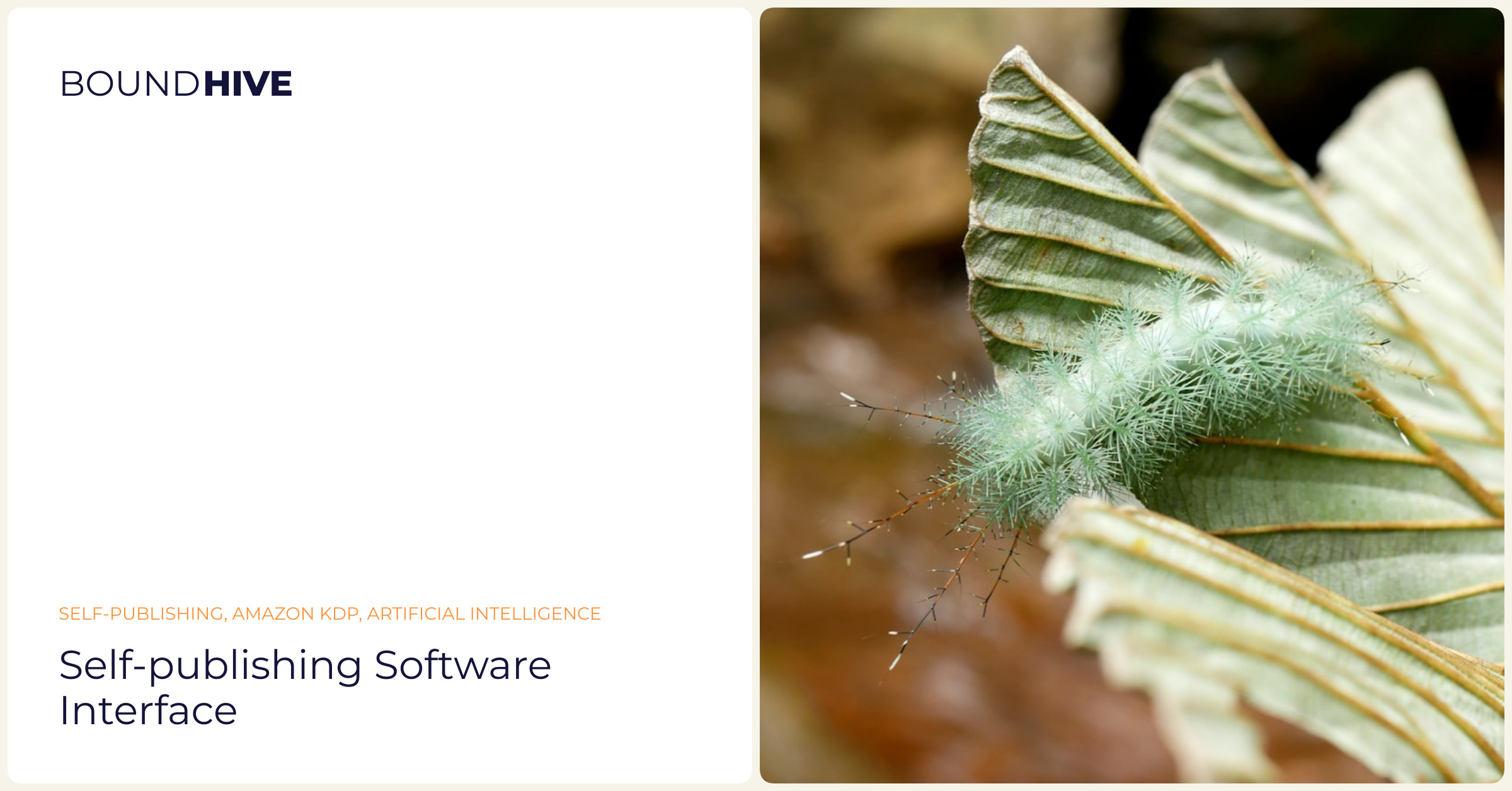 Self-Publishing Software Interface Self-publishing software interface
