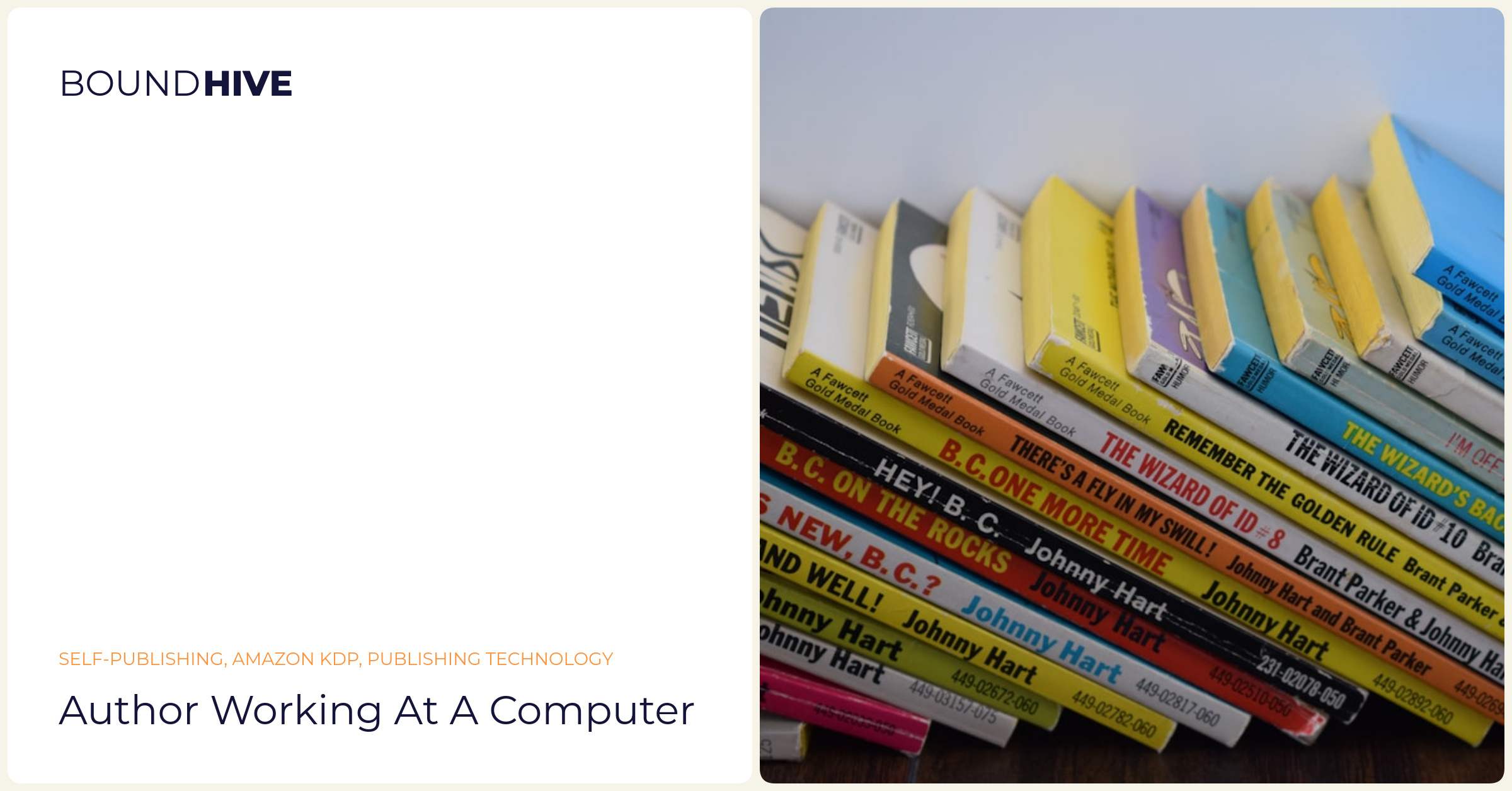Author working at a computer