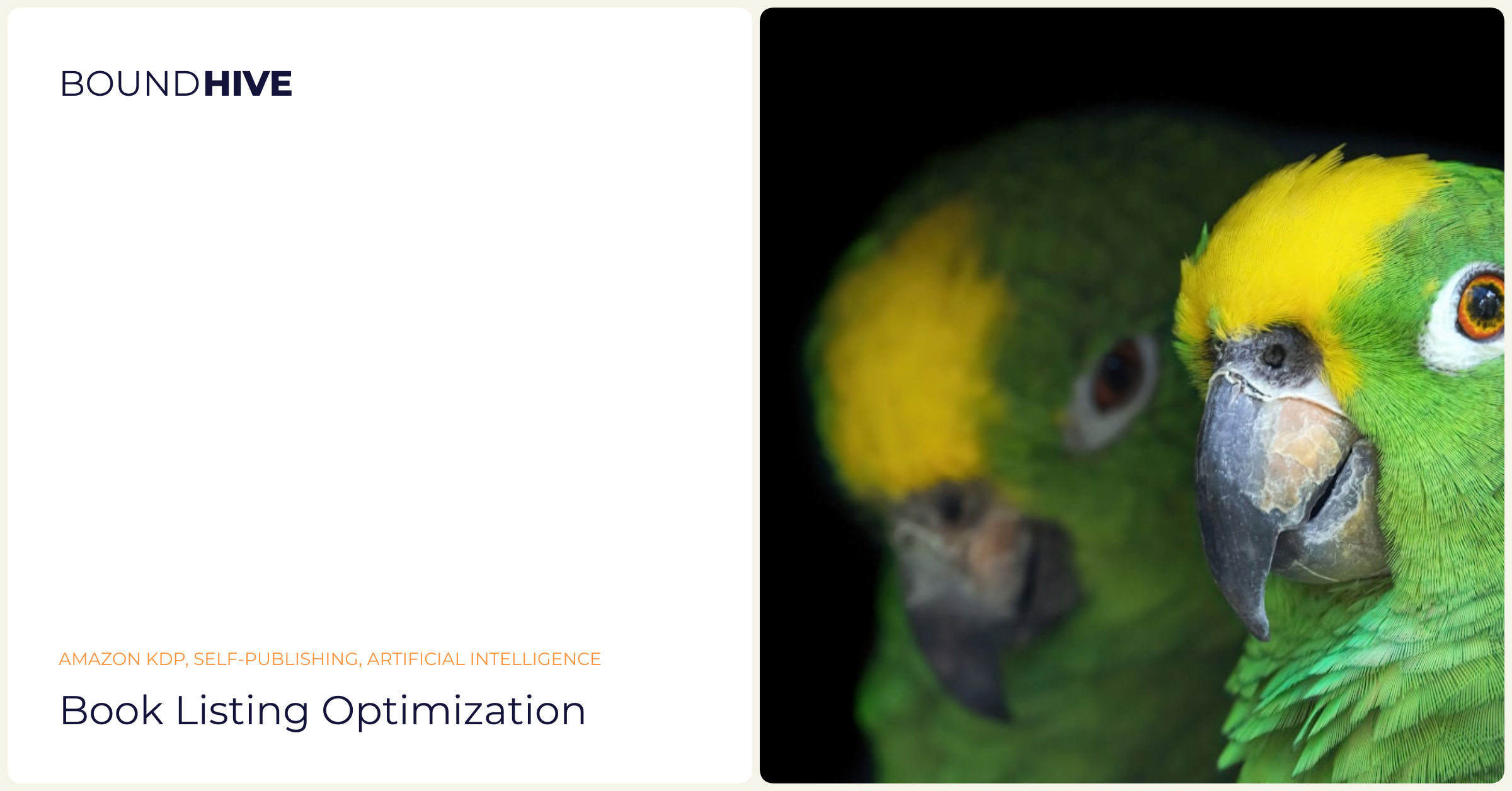 Amazon KDP listing optimization Book listing optimization