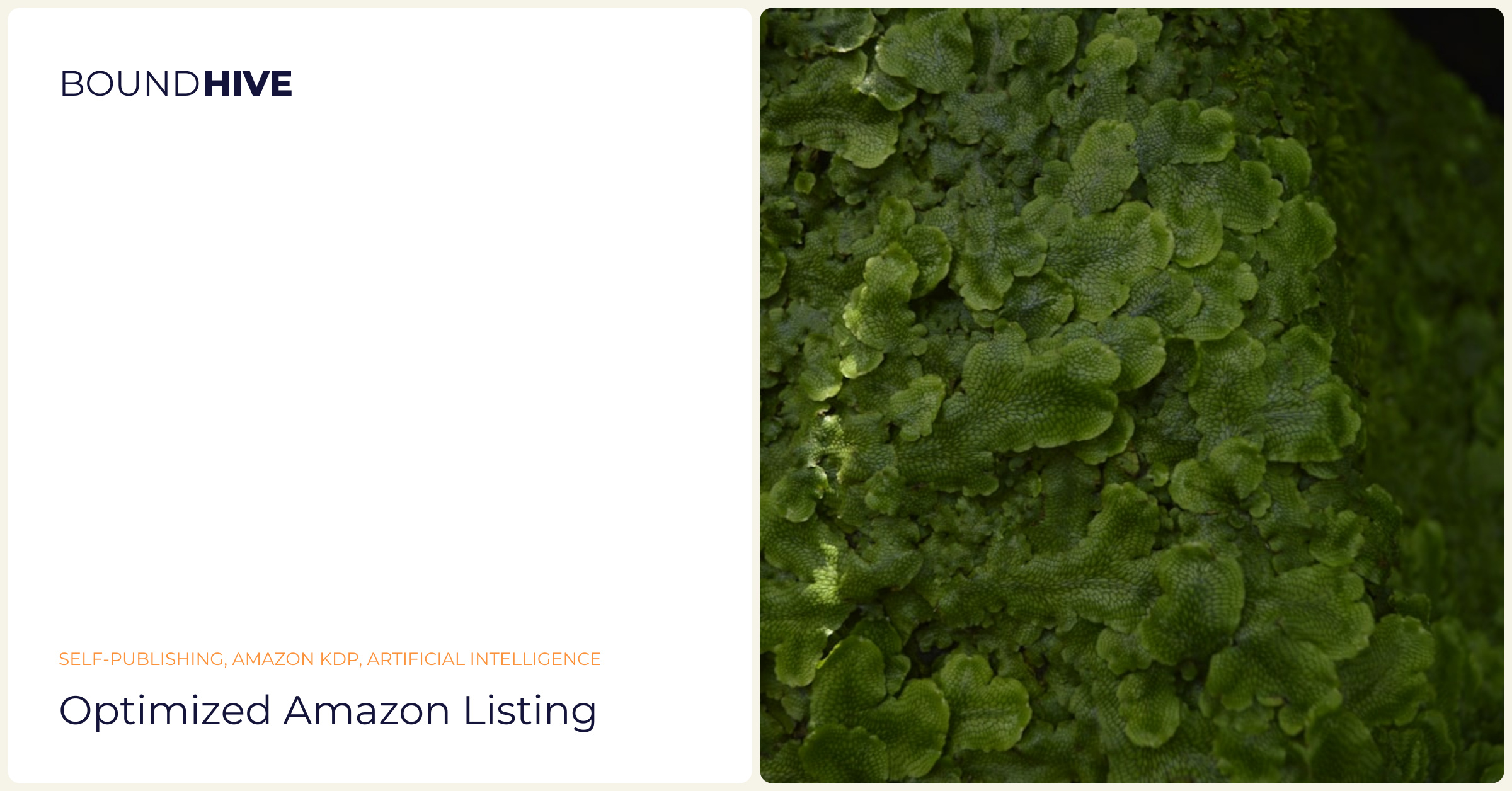 Optimized Amazon listing